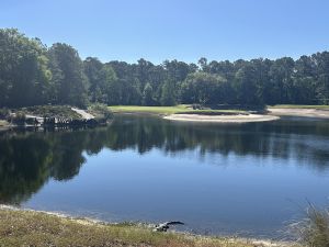 True Blue 3rd Gator 2025